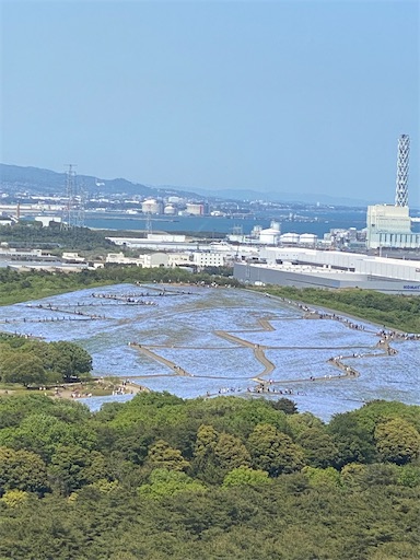 国営ひたち海浜公園観覧車