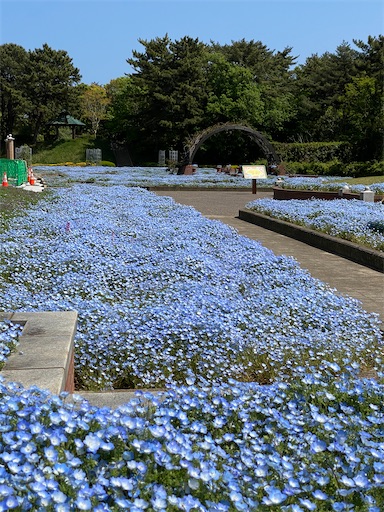 国営ひたち海浜公園キッズガーデン