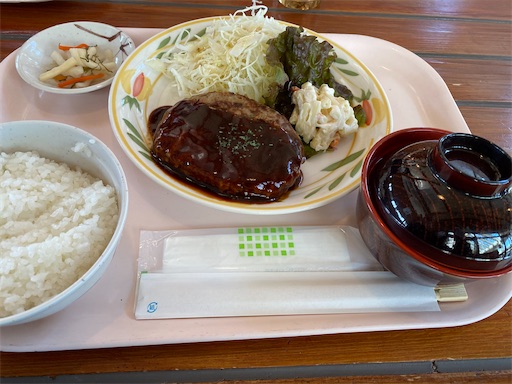 国営ひたち海浜公園ガーデンレストラン常陸牛入りデミグラスハンバーグ定食