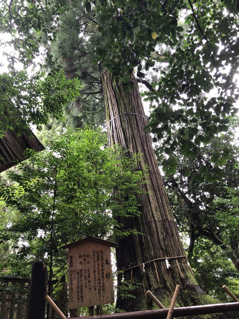 須佐神社